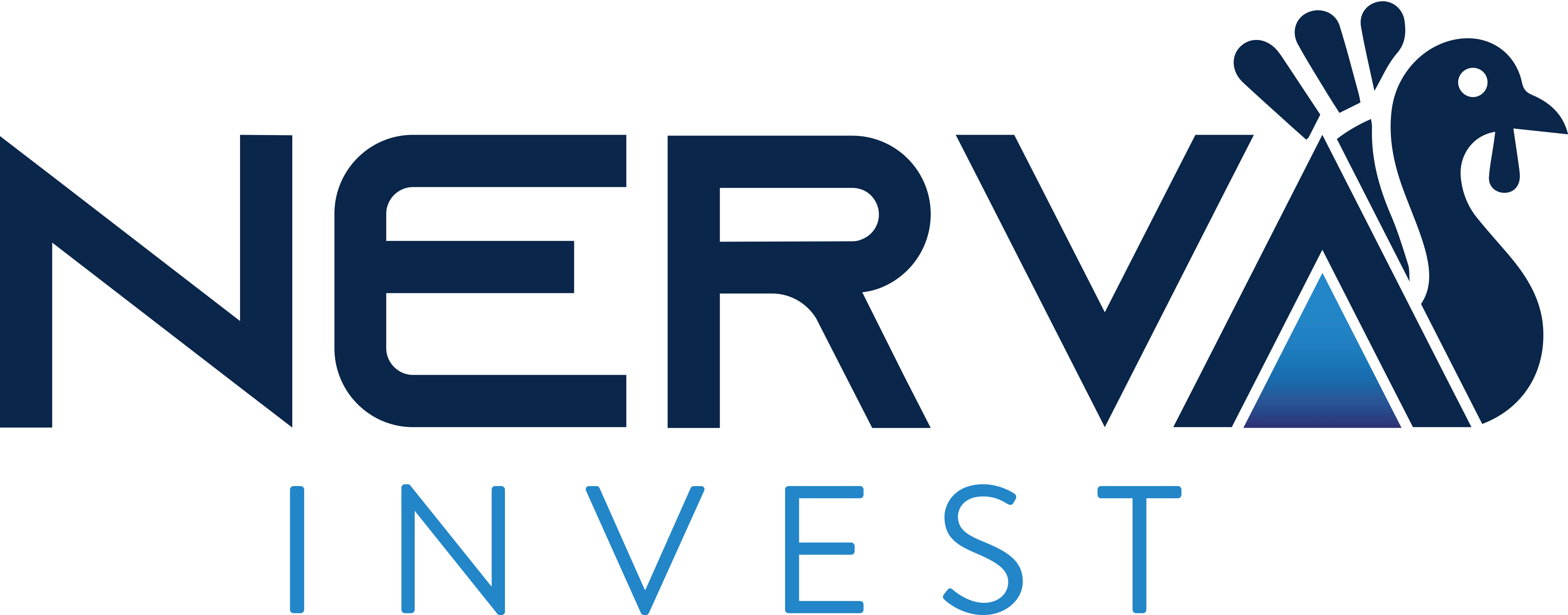 Nerva Invest